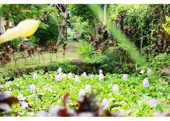 Gongwi Séjour chez l'habitant Sidemen (Bali)